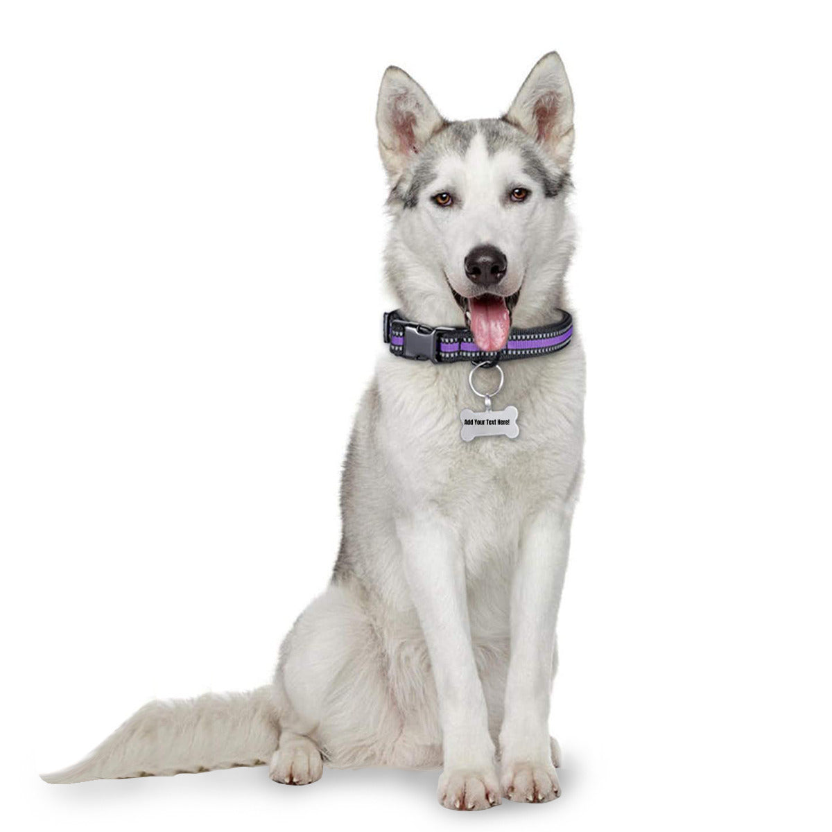 Stainless steel (double-sided printing) dog tag