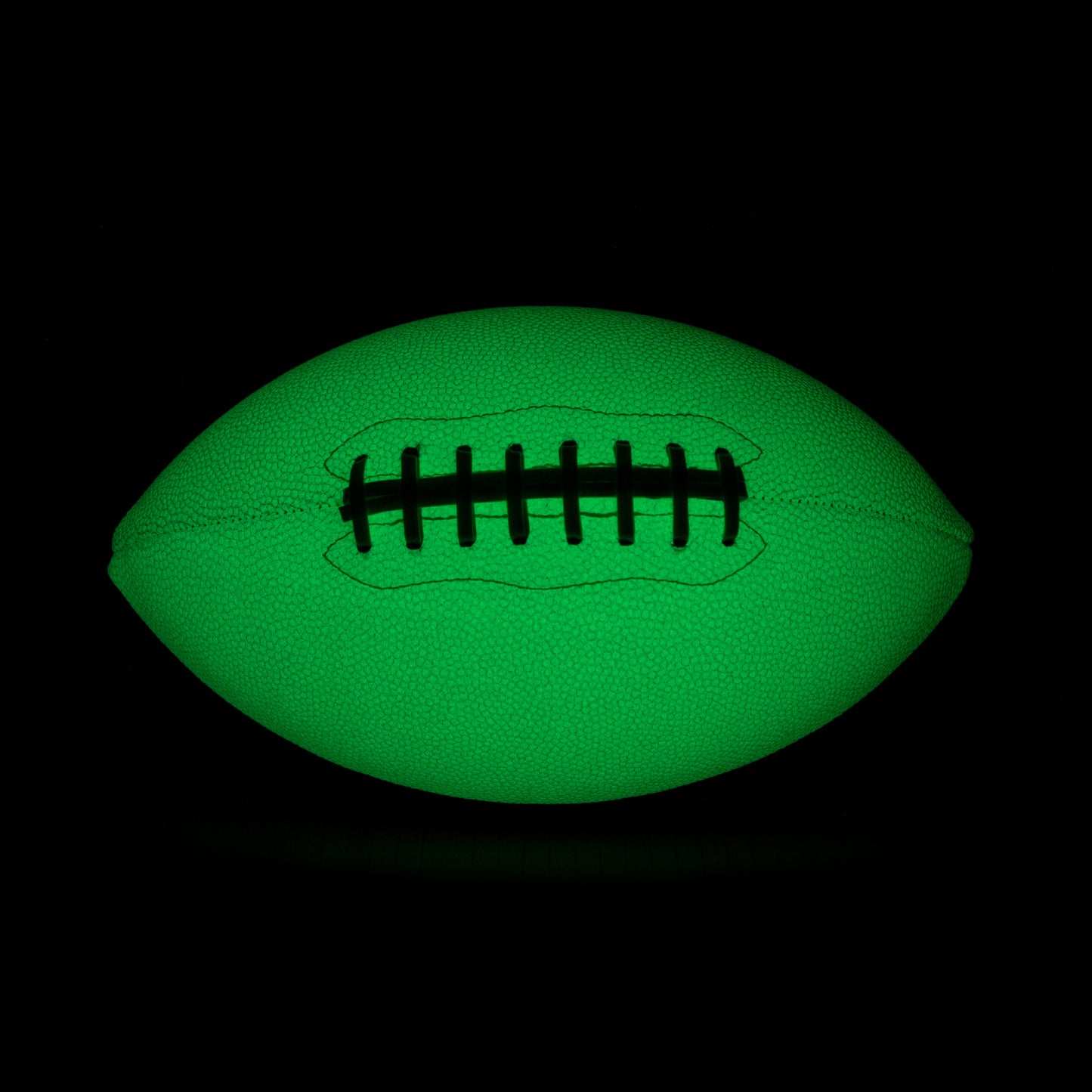 ANACORTES SEAHAWKS TWO PANEL FOOTBALL