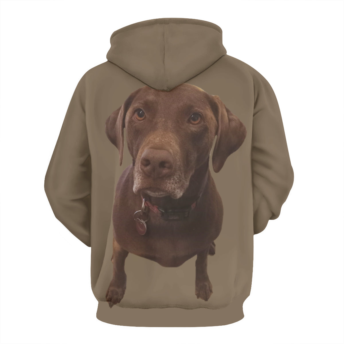 MIKE PAINTER DOG