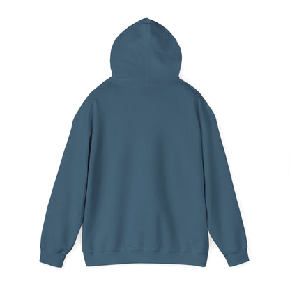 DECEPTION PASS BRIDGE, LOOKOUT Unisex Heavy Blend™ Hooded Sweatshirt