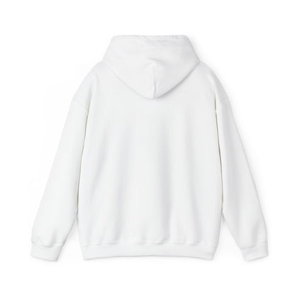 DECEPTION PASS BRIDGE, EST Unisex Heavy Blend™ Hooded Sweatshirt