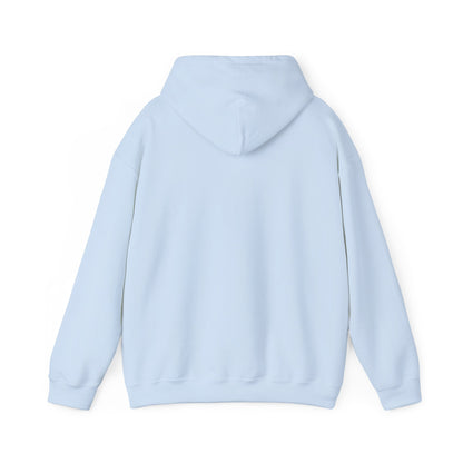DECEPTION PASS BRIDGE, SCENE  Unisex Heavy Blend™ Hooded Sweatshirt