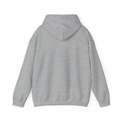 DECEPTION PASS BRIDGE, LOOKOUT Unisex Heavy Blend™ Hooded Sweatshirt