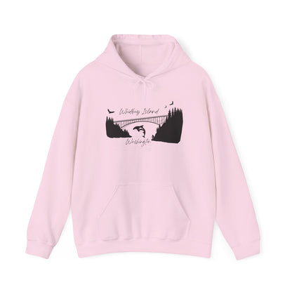 DECEPTION PASS BRIDGE, SCENE  Unisex Heavy Blend™ Hooded Sweatshirt