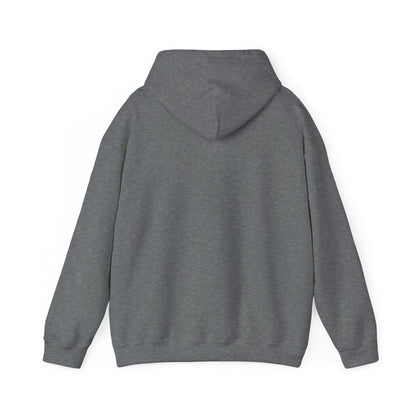 DECEPTION PASS BRIDGE - Unisex Heavy Blend™ Hooded Sweatshirt