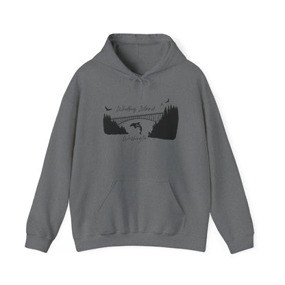 DECEPTION PASS BRIDGE, SCENE  Unisex Heavy Blend™ Hooded Sweatshirt