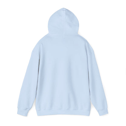 DECEPTION PASS BRIDGE, SCENE  Unisex Heavy Blend™ Hooded Sweatshirt