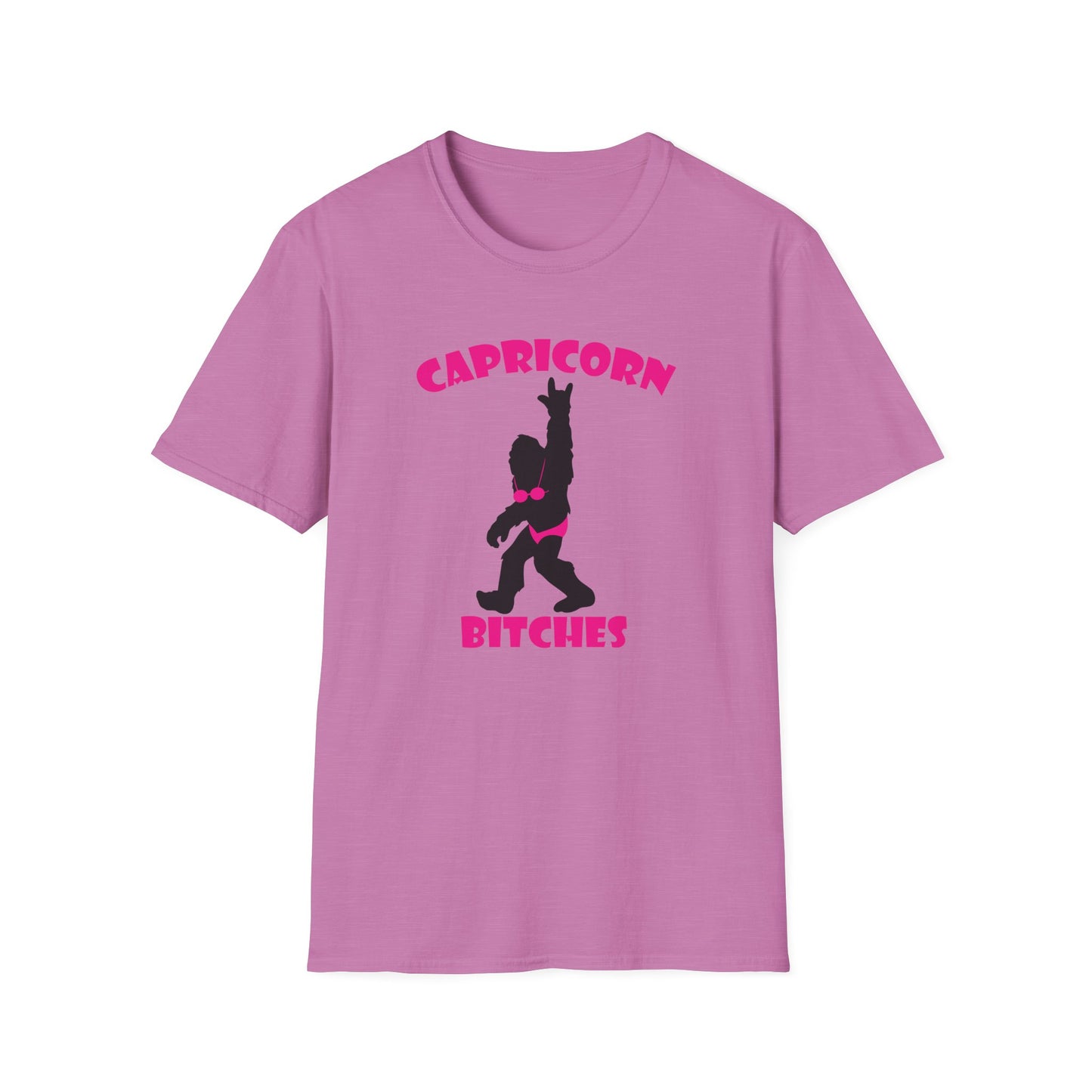 CAPRICORN Unisex Softstyle T-Shirt