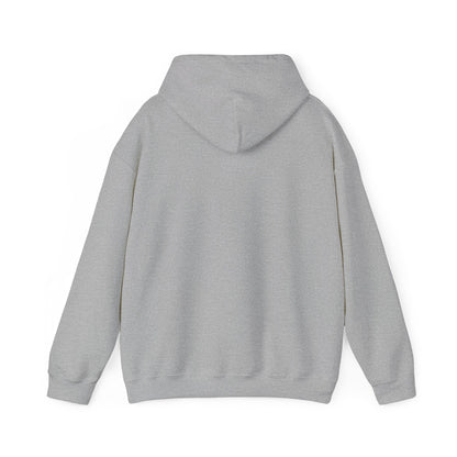 Copy of RUN YOUR REEL - 4 Unisex Heavy Blend™ Hooded Sweatshirt