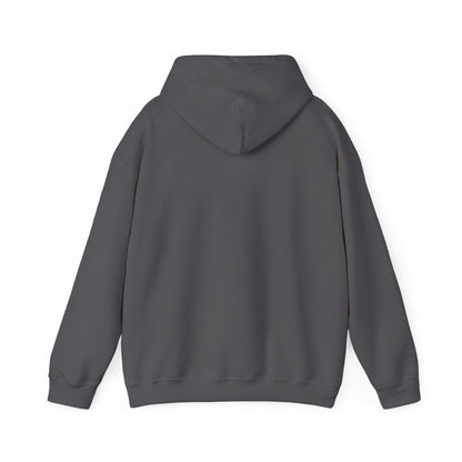 DECEPTION PASS BRIDGE, SCENE  Unisex Heavy Blend™ Hooded Sweatshirt