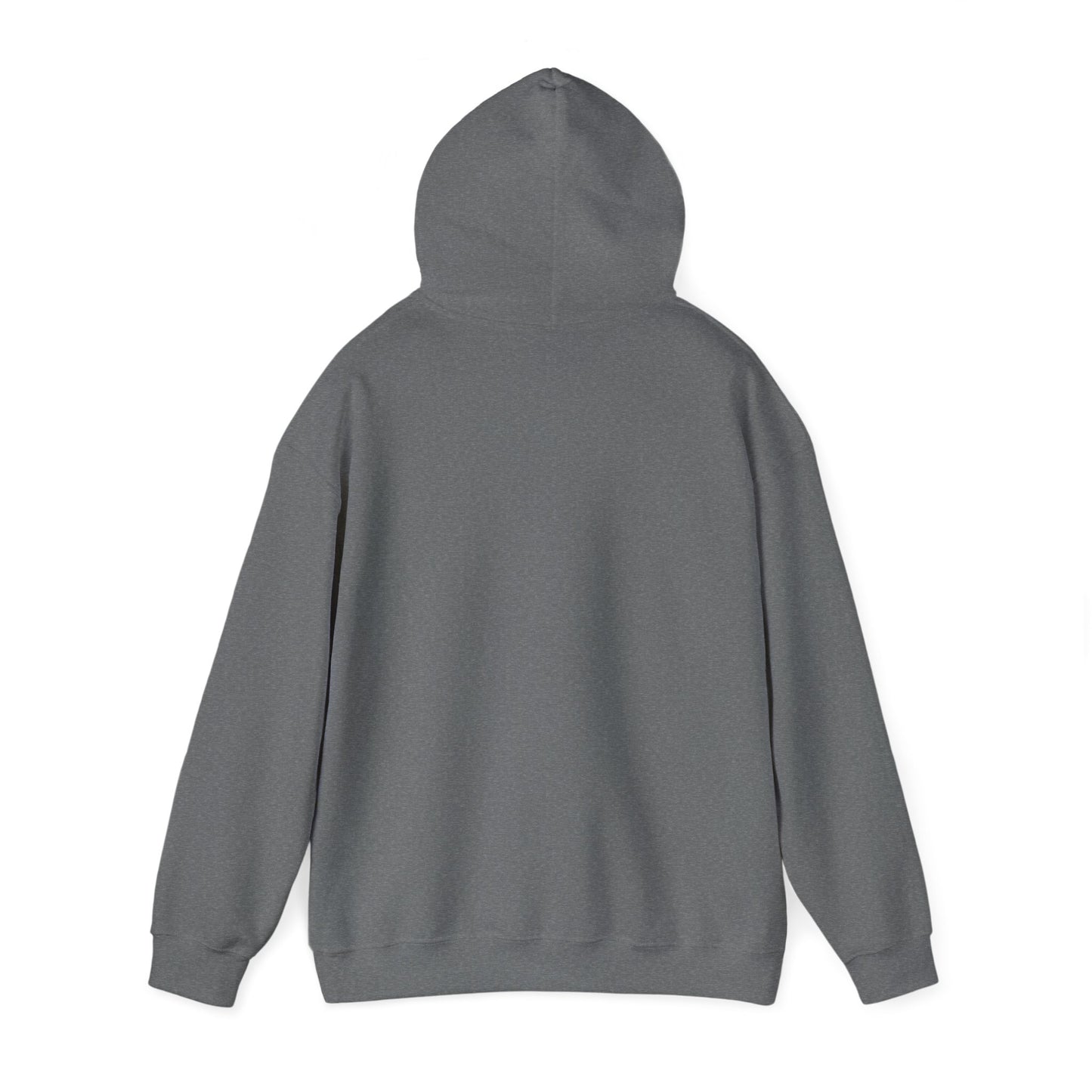 DECEPTION PASS BRIDGE - Unisex Heavy Blend™ Hooded Sweatshirt