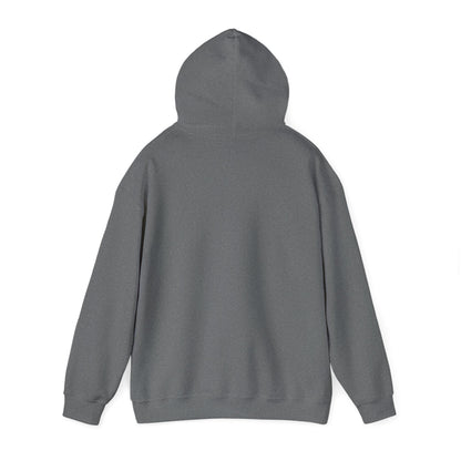 DECEPTION PASS BRIDGE - Unisex Heavy Blend™ Hooded Sweatshirt