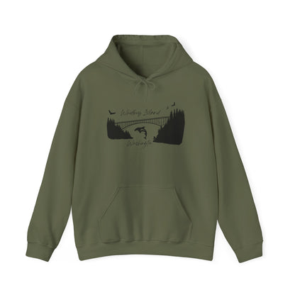 DECEPTION PASS BRIDGE, SCENE  Unisex Heavy Blend™ Hooded Sweatshirt