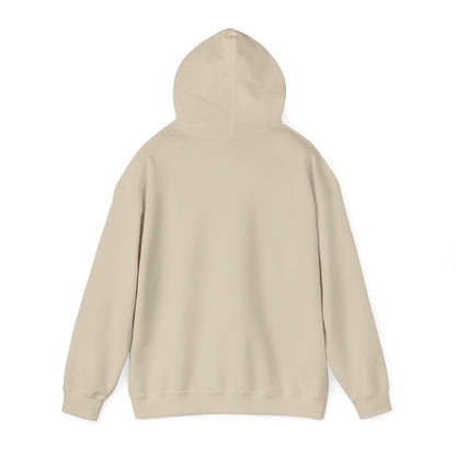 DECEPTION PASS BRIDGE, LOOKOUT Unisex Heavy Blend™ Hooded Sweatshirt