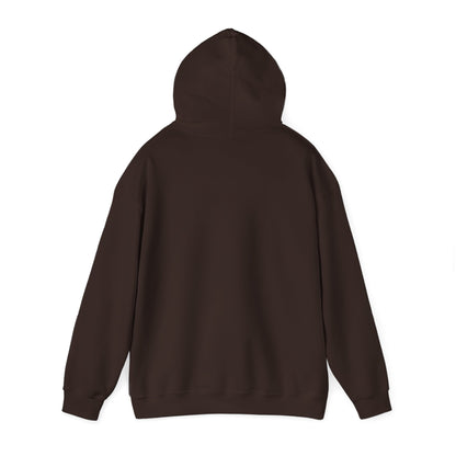 DECEPTION PASS BRIDGE - Unisex Heavy Blend™ Hooded Sweatshirt