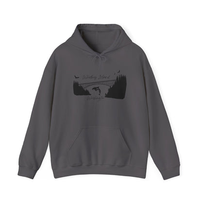 DECEPTION PASS BRIDGE, SCENE  Unisex Heavy Blend™ Hooded Sweatshirt