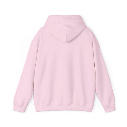 DECEPTION PASS BRIDGE, SCENE  Unisex Heavy Blend™ Hooded Sweatshirt
