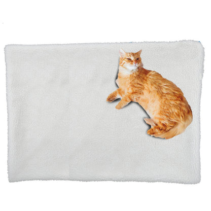 25x35 Inch PET MAT