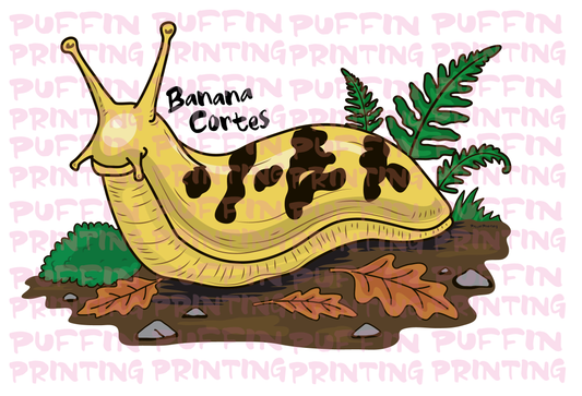 Banana Slug - Fun & Sketch