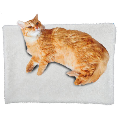 19x25 Inch PET MAT