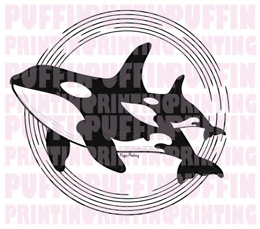ORCA & BABY T-SHIRT & MORE!